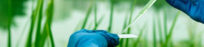 Laurea magistrale in Biotecnologie per le biorisorse e lo sviluppo ecosostenibile