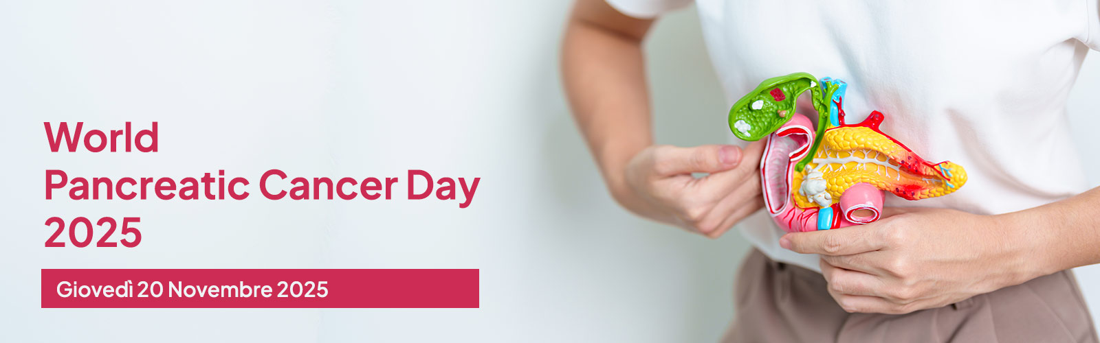 World Pancreatic Cancer Day 2025
