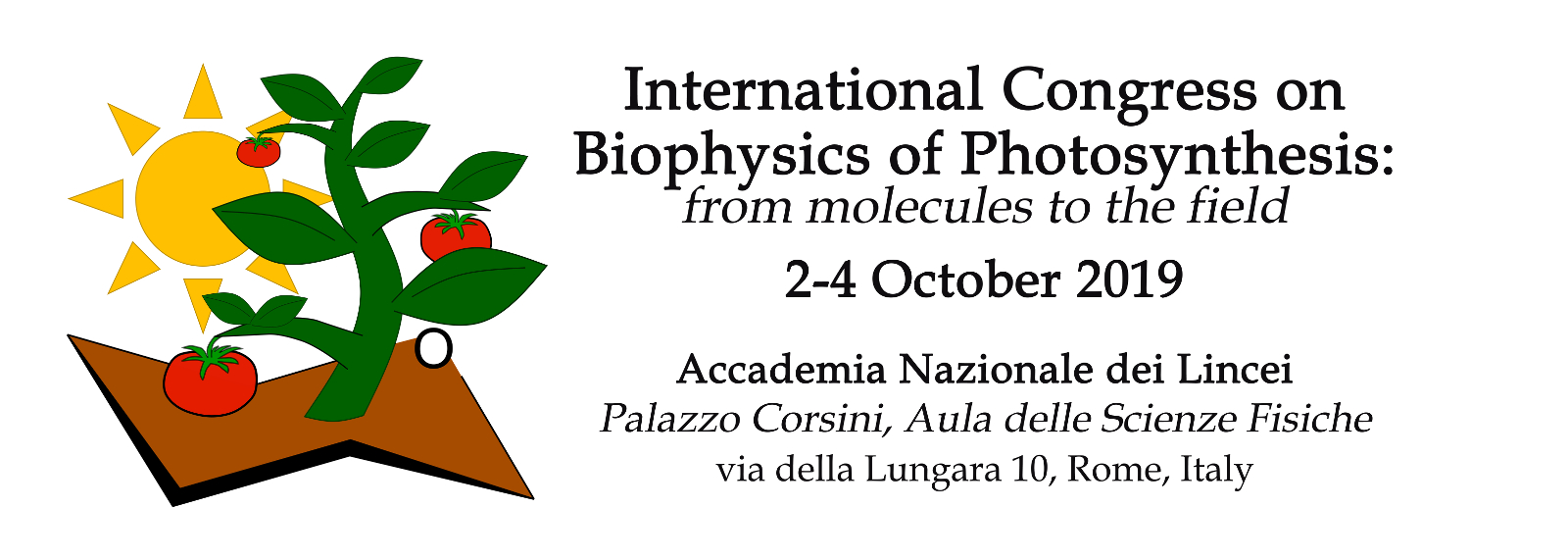 Biophysics of Photosynthesis: from molecules to the field