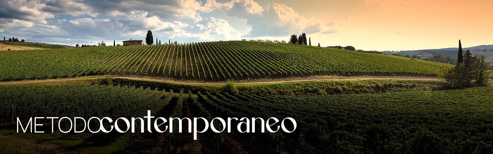 Metodo Contemporaneo. Il rapporto tra arte contemporanea e paesaggio vitivinicolo in una prospettiva di audience development