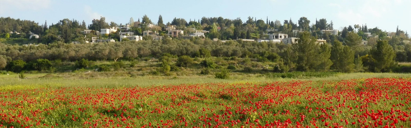 WORKSHOP - LEARNING PEACE Our facilitators URI GOPHER MAYSOON BADDAWI LEARNING FROM THE ISRAELI-PALESTINIAN CONFLICT: IDENTITY, DIALOGUE, AND SOCIAL CHANGE.