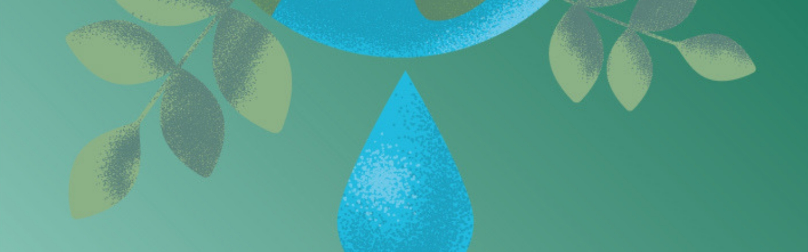 Ateneo in transizione ecologica: installazione di erogatori d’acqua