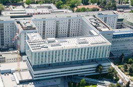 La metodica ecografica nel trattamento con tossina botulinica del paziente affetto da spasticità: corso teorico-pratico verona 4-5 giugno 2020