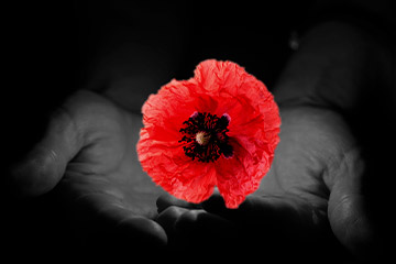 Holodomor Remembrance Week