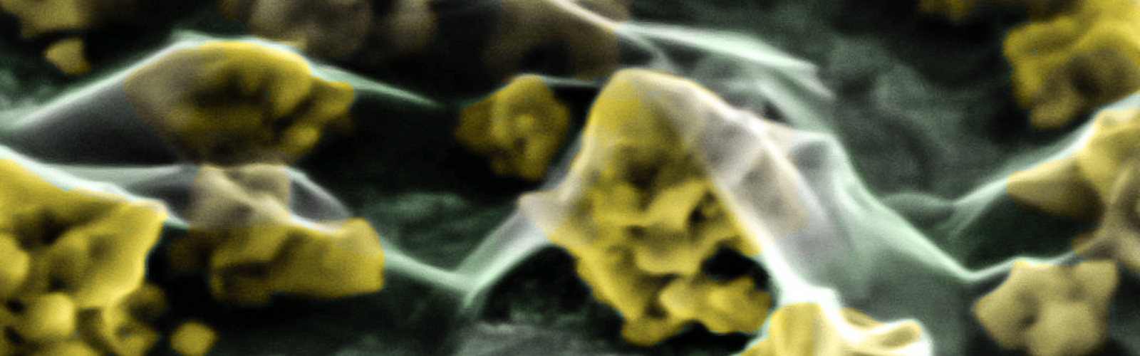 Bio-functionalized gold nanoparticles: from design to application