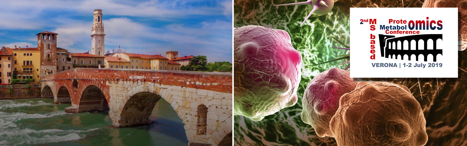INTERNATIONAL PROTEOMICS & METABOLOMICS CONFERENCE AND ADVANCED SCHOOL