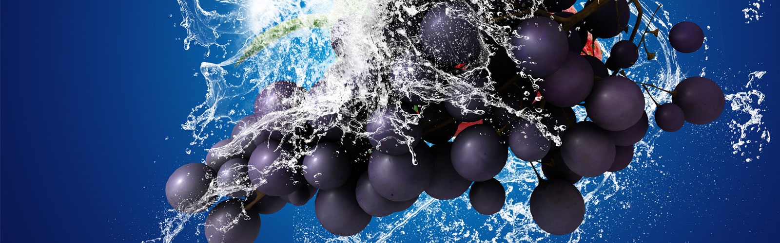Physiology Meets Hydraulics: Water Flows Interact with Grape Ripening